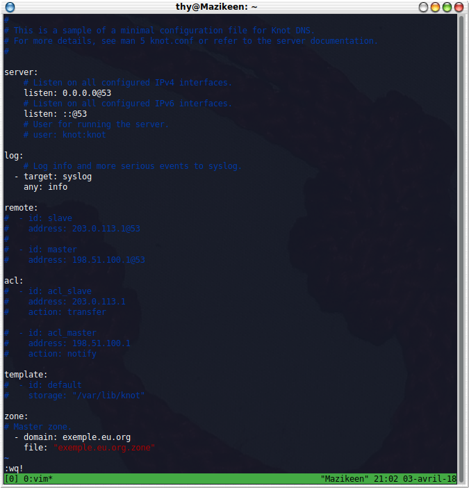 Fichier de configuration de Knot