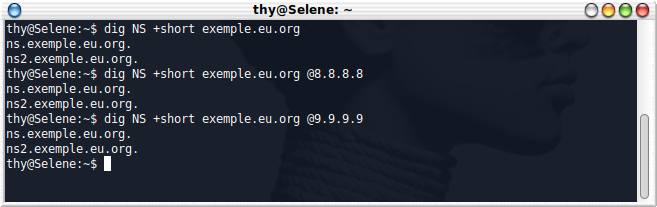 dig NS +short exemple.eu.org